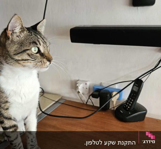 שקע חשמל עם כבלים מחוברים על שולחן עץ
